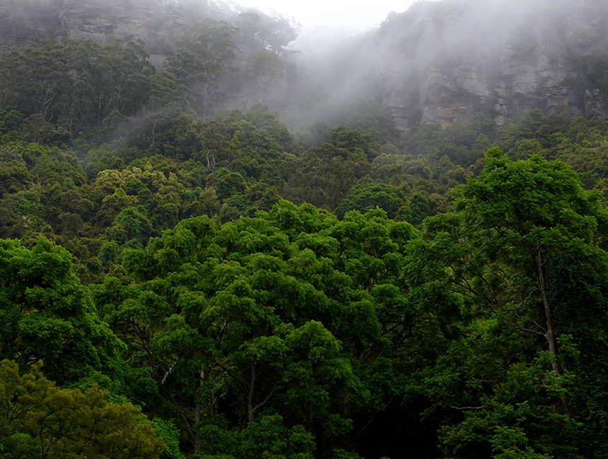 Australian Outdoors